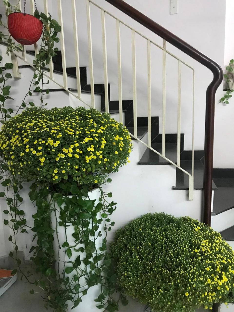 Vanapartment Căn hộ *