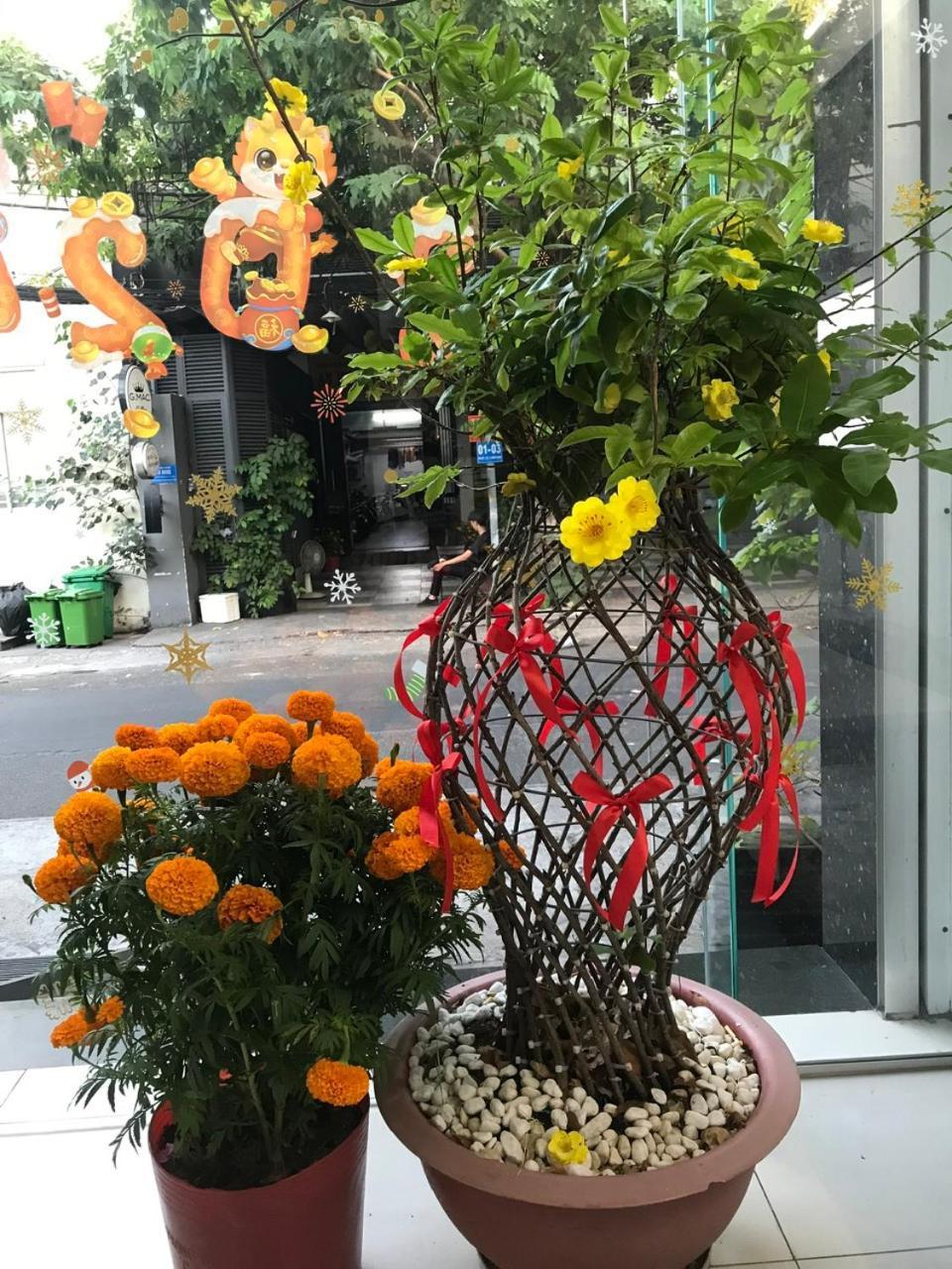 Vanapartment * TP. Hồ Chí Minh